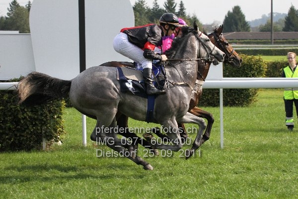 IMG 0971 600x400 prot