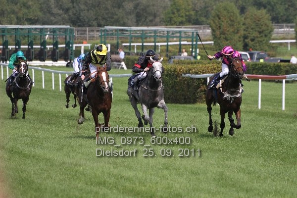 IMG 0973 600x400 prot