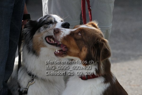 IMG 0995 600x400 prot