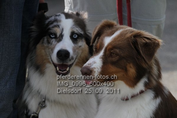 IMG 0996 600x400 prot