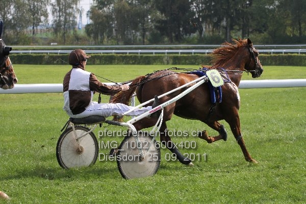 IMG 1002 600x400 prot