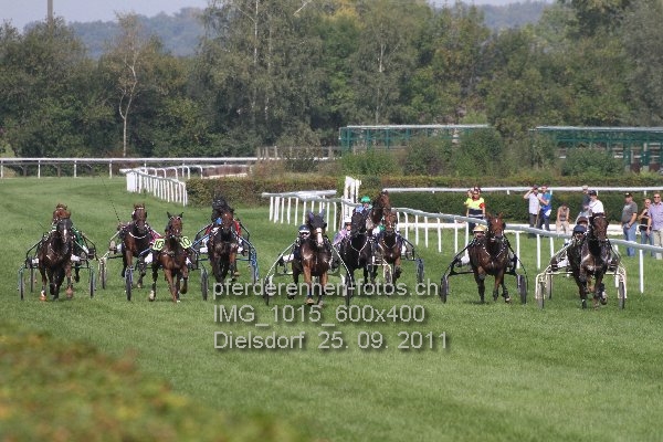 IMG 1015 600x400 prot