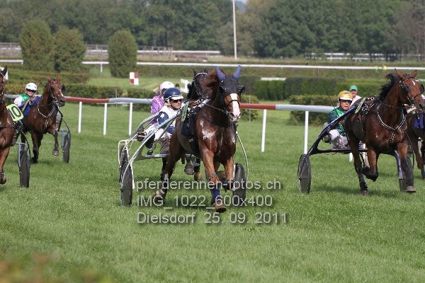 IMG 1022 600x400 prot