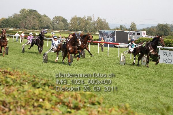 IMG 1024 600x400 prot