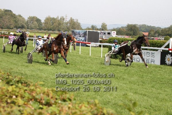 IMG 1025 600x400 prot