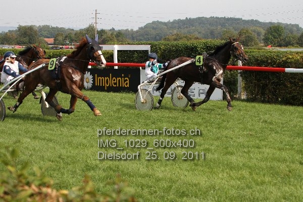 IMG 1029 600x400 prot