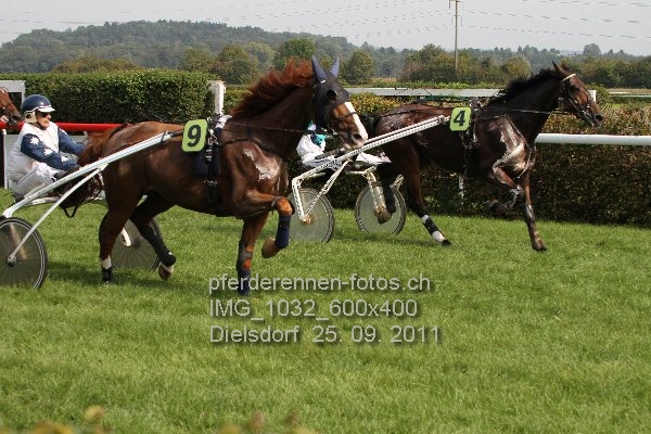 IMG 1032 600x400 prot