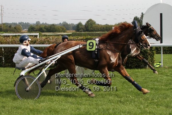 IMG 1035 600x400 prot