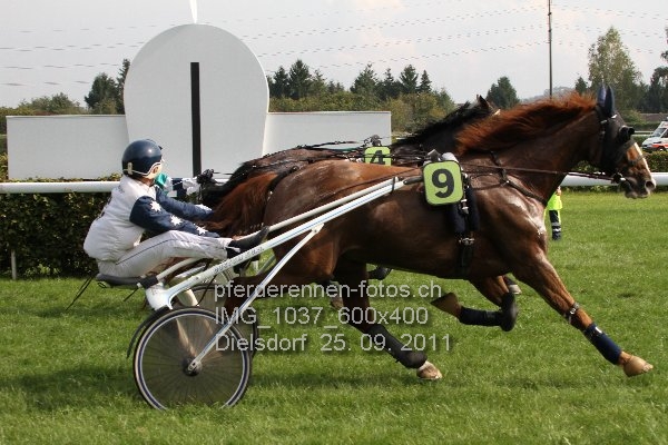 IMG 1037 600x400 prot