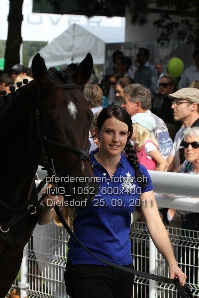 IMG 1052 600x400 prot