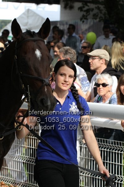 IMG 1053 600x400 prot