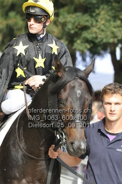 IMG 1063 600x400 prot