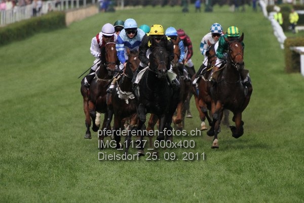 IMG 1127 600x400 prot