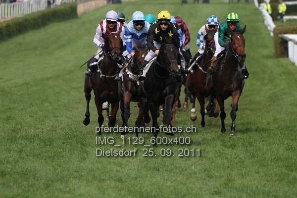 IMG 1129 600x400 prot