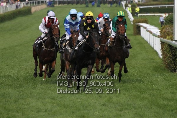 IMG 1130 600x400 prot