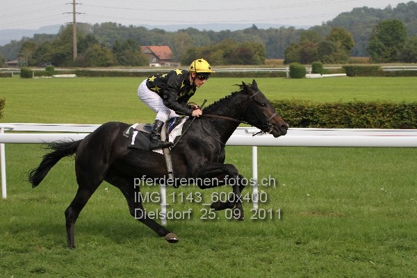 IMG 1143 600x400 prot