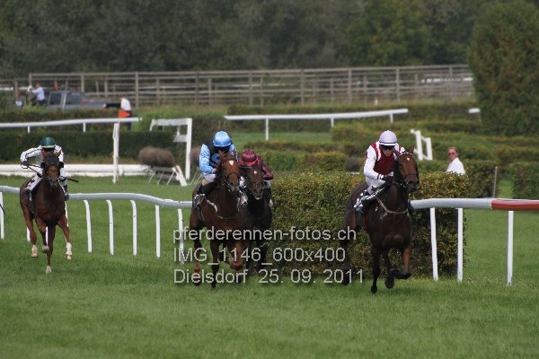 IMG 1146 600x400 prot