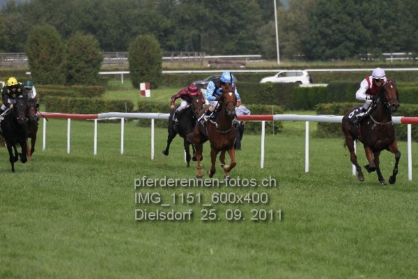 IMG 1151 600x400 prot