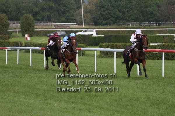 IMG 1152 600x400 prot
