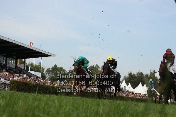 IMG 1156 600x400 prot