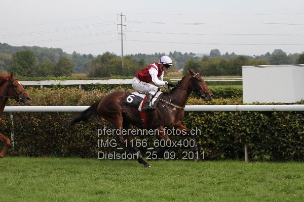 IMG 1166 600x400 prot