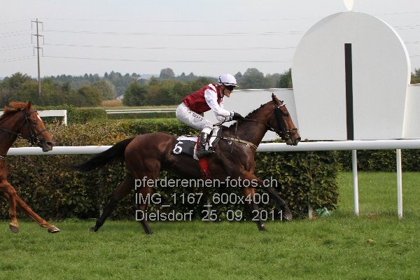 IMG 1167 600x400 prot