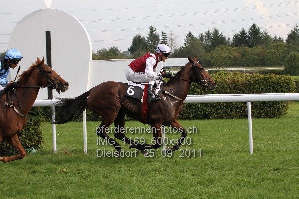 IMG 1169 600x400 prot