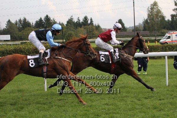 IMG 1171 600x400 prot