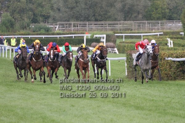 IMG 1236 600x400 prot