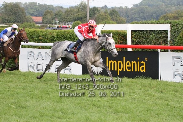 IMG 1243 600x400 prot