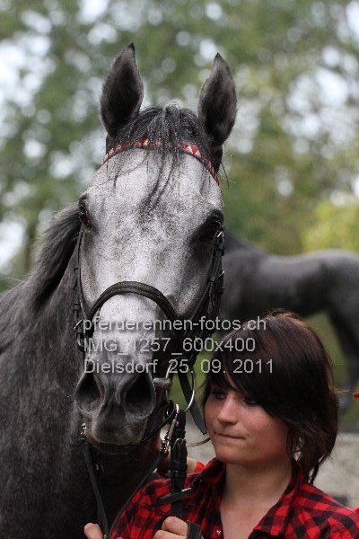 IMG 1257 600x400 prot