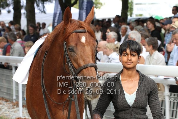 IMG 1290 600x400 prot