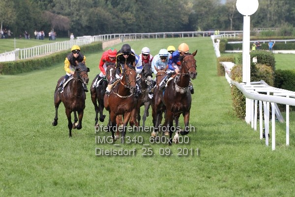 IMG 1340 600x400 prot