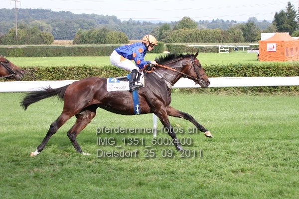 IMG 1351 600x400 prot