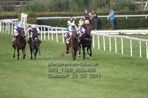 IMG 1356 600x400 prot