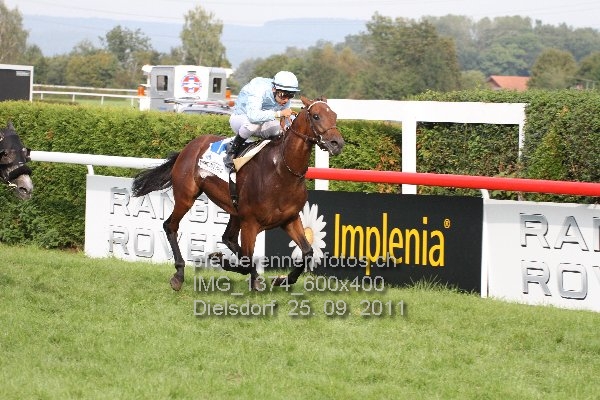 IMG 1374 600x400 prot