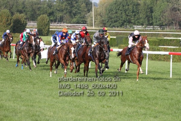 IMG 1498 600x400 prot