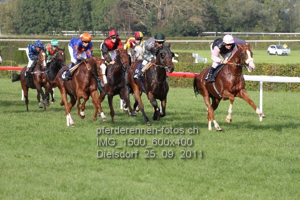 IMG 1500 600x400 prot