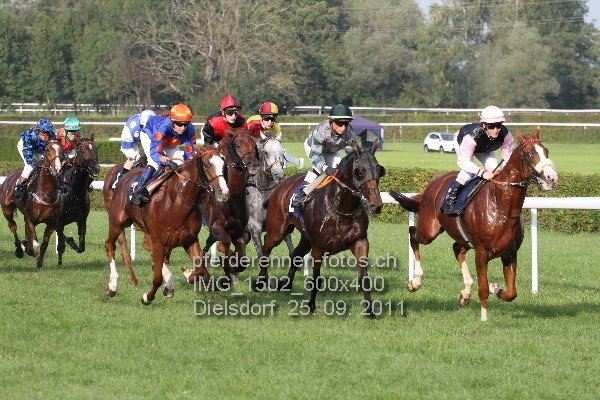 IMG 1502 600x400 prot