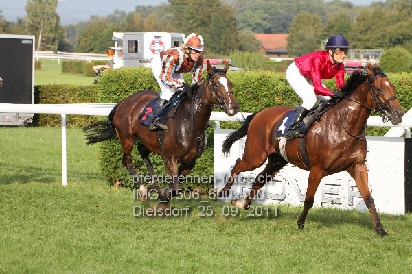 IMG 1506 600x400 prot