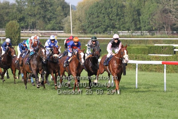 IMG 1510 600x400 prot