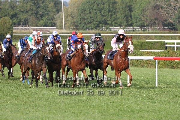 IMG 1511 600x400 prot