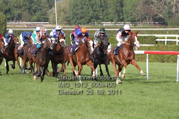 IMG 1512 600x400 prot