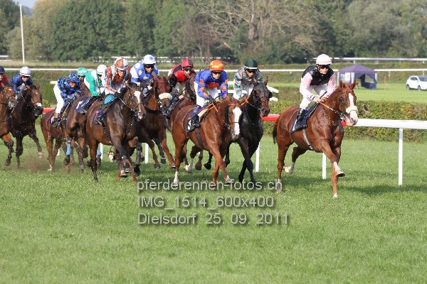 IMG 1514 600x400 prot