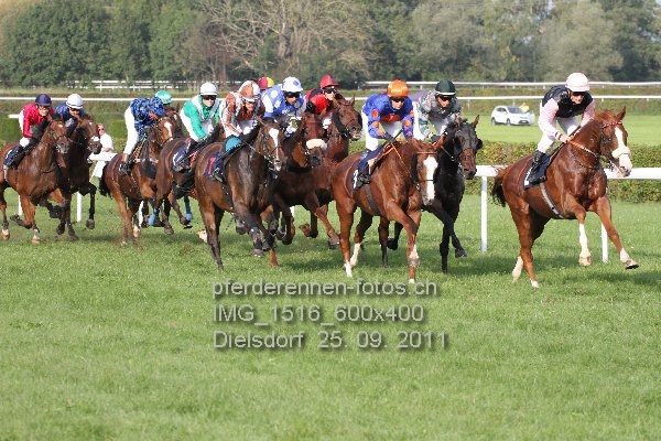 IMG 1516 600x400 prot