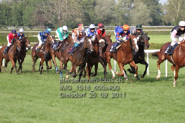 IMG 1518 600x400 prot