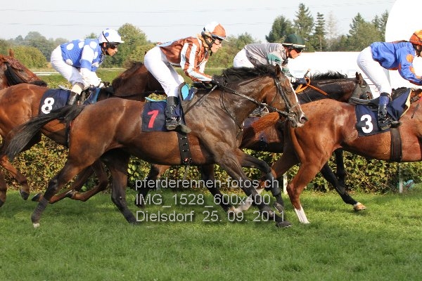 IMG 1528 600x400 prot