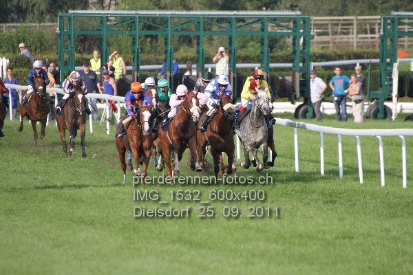 IMG 1532 600x400 prot