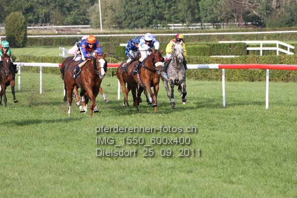 IMG 1550 600x400 prot