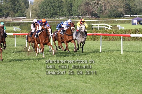 IMG 1551 600x400 prot